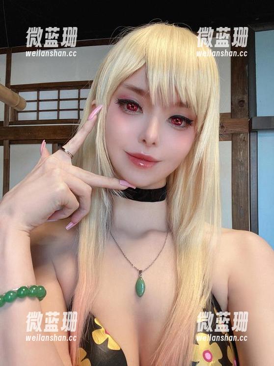 资源整理大赛：Vinnegal的八重神子到底藏了多少惊喜？