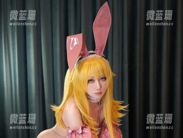 绞肉姬的写真大礼包：W愚夜密函带来了什么？